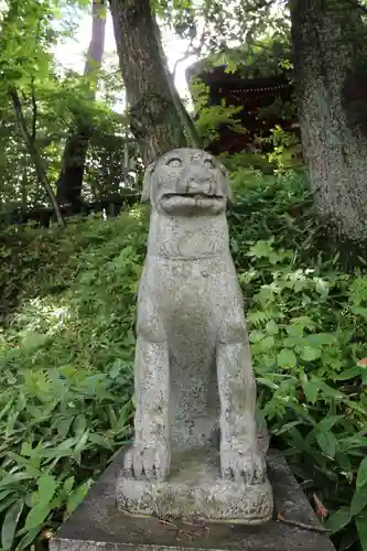 光泉寺の狛犬