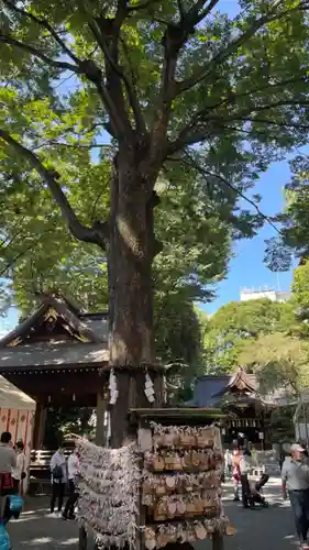 子安神社の絵馬