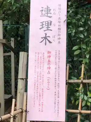 城山八幡宮の歴史