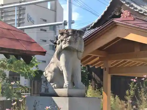 諏訪神社の狛犬