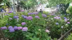 白山神社の建物その他