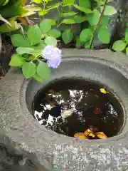 須賀神社の建物その他