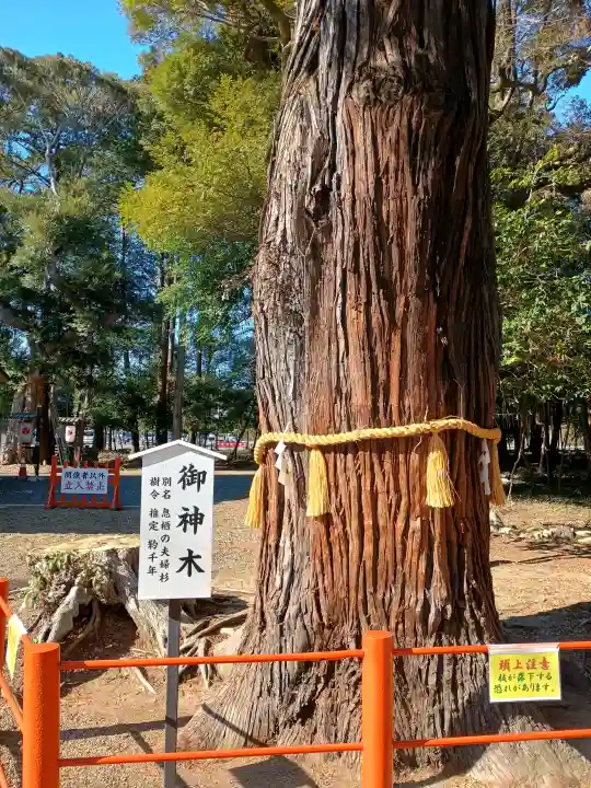 息栖神社の{uncategorized: "未分類", other: "その他", undefined: "問題あり", building: "その他建物", grave: "お墓", sacred_gate: "鳥居", guardian: "狛犬", statue: "像", buddha: "仏像", history: "歴史", nature: "自然", garden: "庭園", animal: "動物", pagoda: "塔", temizu: "手水舎", mountain_gate: "山門・神門", sanctuary: "本殿・本堂", subordinate: "末社・摂社", art: "芸術", scenery: "景色", jizo: "地蔵", ema: "絵馬", goshuin: "御朱印", omikuji: "おみくじ", items: "授与品その他", amulet: "お守り", goshuincho: "御朱印帳", eats: "食事", festival: "お祭り", votive_dance: "神楽", shichigosan: "七五三参", wedding: "結婚式", experience: "体験その他", initially: "初詣", around: "周辺", anti_infection: "感染症対策"}