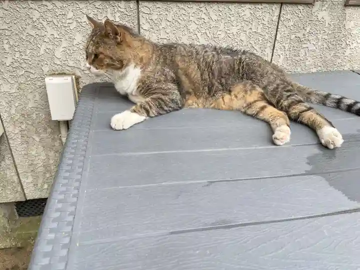 鎌数伊勢大神宮の御朱印