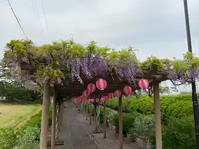 城ヶ入観音(愛知県)