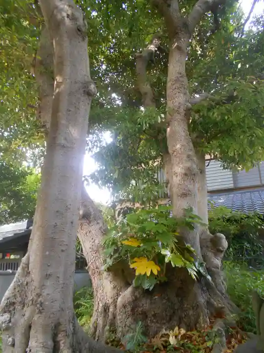 高砂稲荷神社の周辺