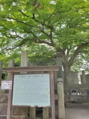 阿弥陀寺(福島県)