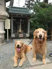 森戸大明神（森戸神社）の動物