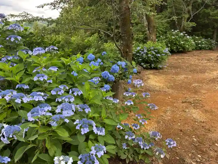 大宮神社(栃木県)