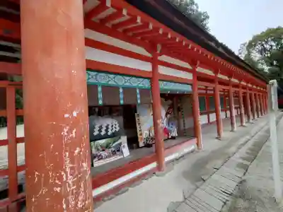 賀茂御祖神社（下鴨神社）(京都府)