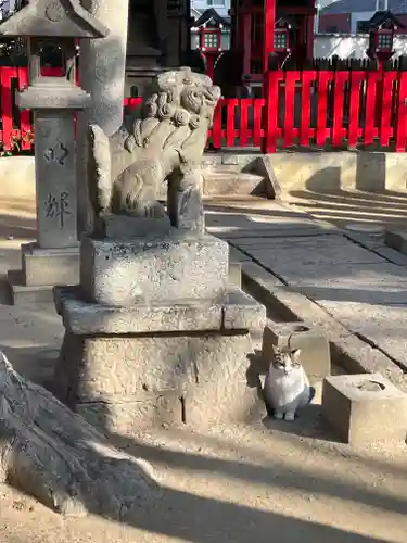 大津神社の狛犬