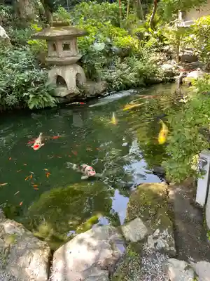 一條殿 新善光寺(京都府)