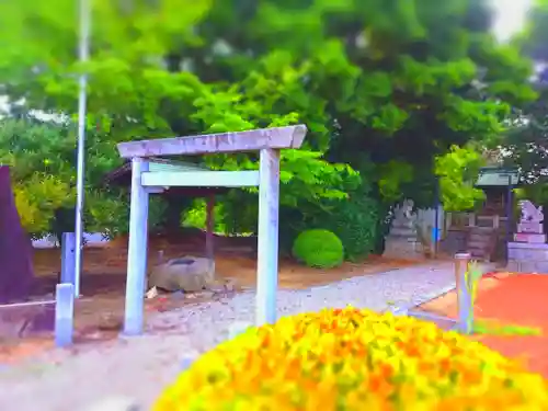 相生神社の鳥居