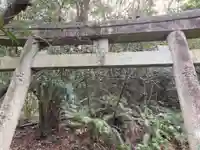 少彦名神社の鳥居