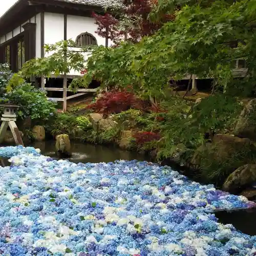 楽法寺（雨引観音）の庭園