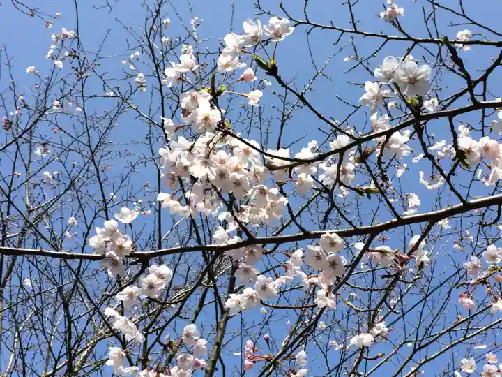 東郷神社(福岡県)