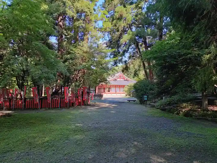 観心寺(大阪府)