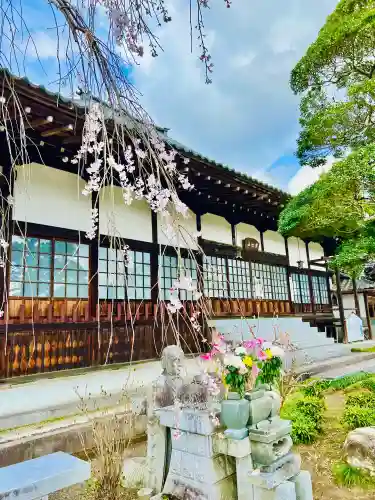 金剛寺の{uncategorized: "未分類", other: "その他", undefined: "問題あり", building: "その他建物", grave: "お墓", sacred_gate: "鳥居", guardian: "狛犬", statue: "像", buddha: "仏像", history: "歴史", nature: "自然", garden: "庭園", animal: "動物", pagoda: "塔", temizu: "手水舎", mountain_gate: "山門・神門", sanctuary: "本殿・本堂", subordinate: "末社・摂社", art: "芸術", scenery: "景色", jizo: "地蔵", ema: "絵馬", goshuin: "御朱印", omikuji: "おみくじ", items: "授与品その他", amulet: "お守り", goshuincho: "御朱印帳", eats: "食事", festival: "お祭り", votive_dance: "神楽", shichigosan: "七五三参", wedding: "結婚式", experience: "体験その他", initially: "初詣", around: "周辺", anti_infection: "感染症対策"}