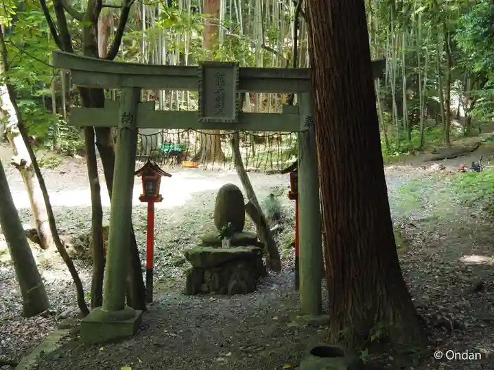 今熊野観音寺(京都府)