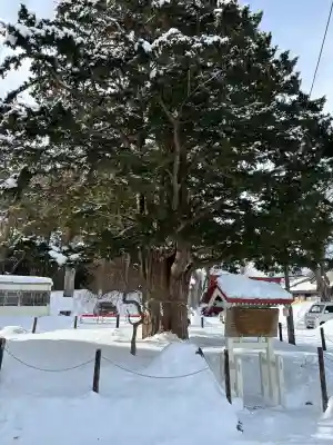豊栄神社の{uncategorized: "未分類", other: "その他", undefined: "問題あり", building: "その他建物", grave: "お墓", sacred_gate: "鳥居", guardian: "狛犬", statue: "像", buddha: "仏像", history: "歴史", nature: "自然", garden: "庭園", animal: "動物", pagoda: "塔", temizu: "手水舎", mountain_gate: "山門・神門", sanctuary: "本殿・本堂", subordinate: "末社・摂社", art: "芸術", scenery: "景色", jizo: "地蔵", ema: "絵馬", goshuin: "御朱印", omikuji: "おみくじ", items: "授与品その他", amulet: "お守り", goshuincho: "御朱印帳", eats: "食事", festival: "お祭り", votive_dance: "神楽", shichigosan: "七五三参", wedding: "結婚式", experience: "体験その他", initially: "初詣", around: "周辺", anti_infection: "感染症対策"}