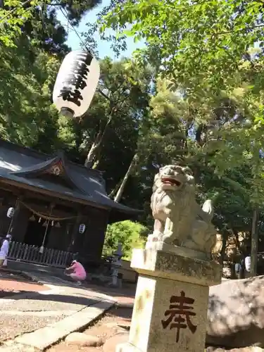 日枝神社の狛犬