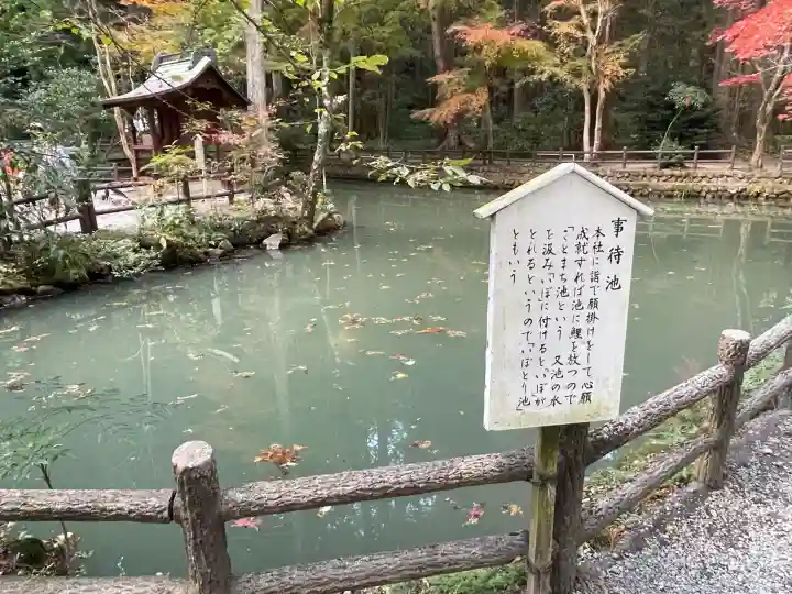 小國神社(静岡県)