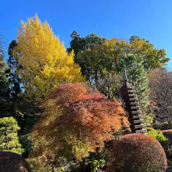 天台宗 長窪山 正覚寺の庭園
