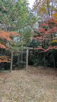上花山旭稲荷神社(京都府)