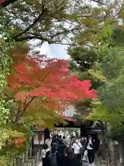 慈照寺（慈照禅寺・銀閣寺）(京都府)