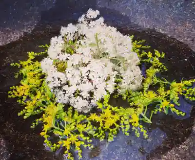 真言宗　善通寺派　薬王寺(香川県)