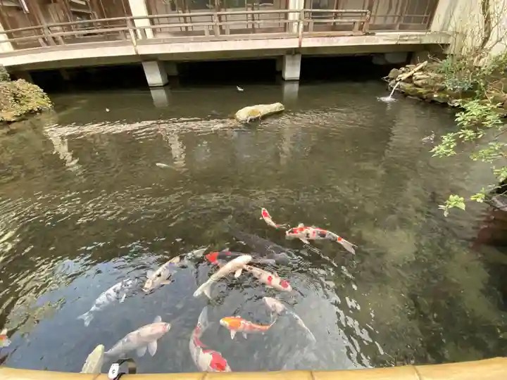 子安神社の庭園