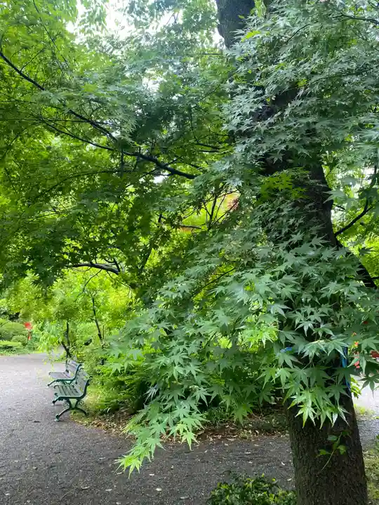 冠稲荷神社(群馬県)