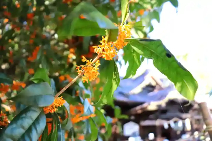 三津厳島神社の自然