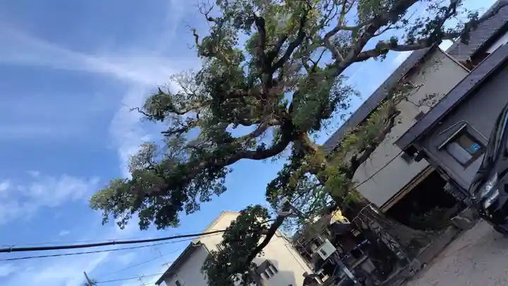 櫟谷七野神社(京都府)