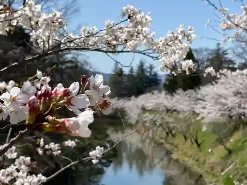 眞田神社の自然