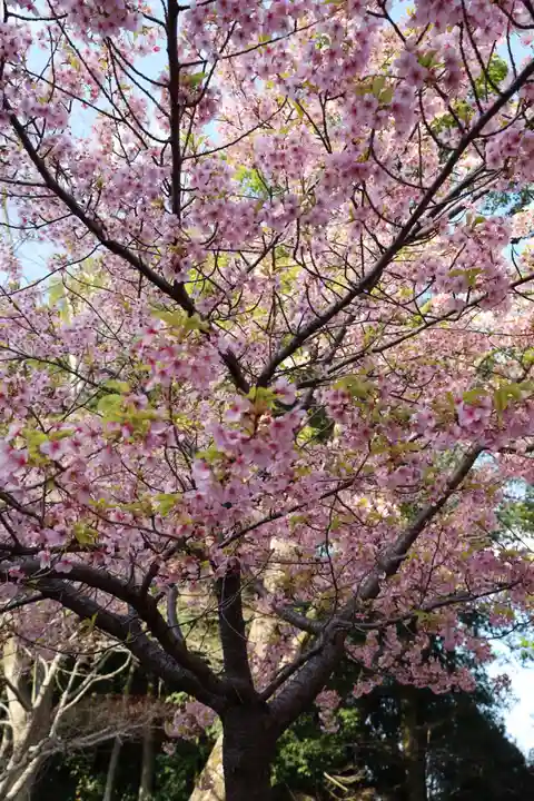 近江神宮(滋賀県)