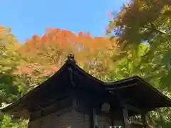 普門寺(切り絵御朱印発祥の寺)の本殿