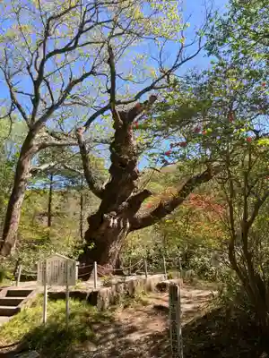 那須温泉神社(栃木県)