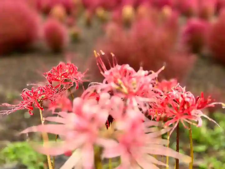 遠照寺(山梨県)