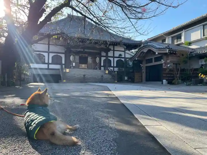 感通寺のその他建物