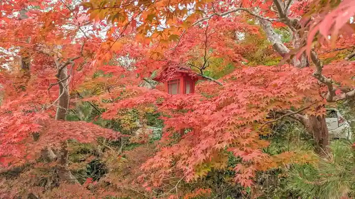 鍬山神社(京都府)