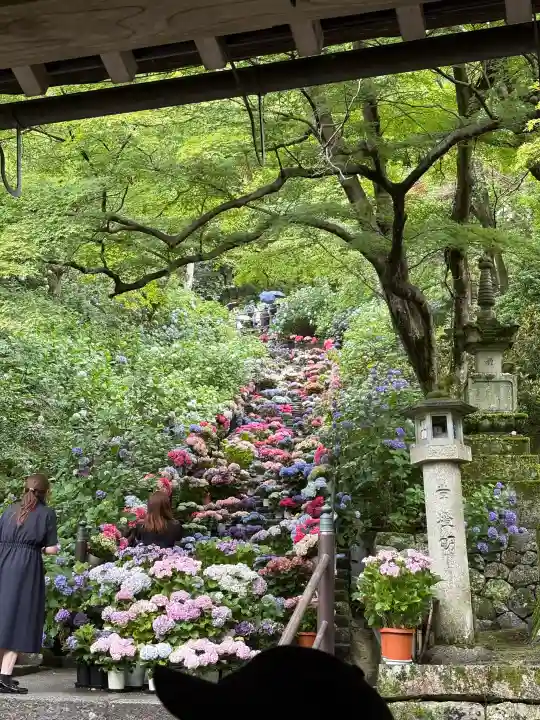 長谷寺(奈良県)