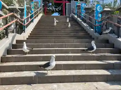 蕪嶋神社の動物