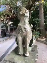 八重垣神社の狛犬