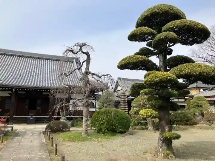 瑞雲寺の{uncategorized: "未分類", other: "その他", undefined: "問題あり", building: "その他建物", grave: "お墓", sacred_gate: "鳥居", guardian: "狛犬", statue: "像", buddha: "仏像", history: "歴史", nature: "自然", garden: "庭園", animal: "動物", pagoda: "塔", temizu: "手水舎", mountain_gate: "山門・神門", sanctuary: "本殿・本堂", subordinate: "末社・摂社", art: "芸術", scenery: "景色", jizo: "地蔵", ema: "絵馬", goshuin: "御朱印", omikuji: "おみくじ", items: "授与品その他", amulet: "お守り", goshuincho: "御朱印帳", eats: "食事", festival: "お祭り", votive_dance: "神楽", shichigosan: "七五三参", wedding: "結婚式", experience: "体験その他", initially: "初詣", around: "周辺", anti_infection: "感染症対策"}