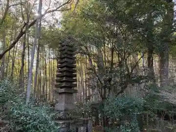 滝口寺の{uncategorized: "未分類", other: "その他", undefined: "問題あり", building: "その他建物", grave: "お墓", sacred_gate: "鳥居", guardian: "狛犬", statue: "像", buddha: "仏像", history: "歴史", nature: "自然", garden: "庭園", animal: "動物", pagoda: "塔", temizu: "手水舎", mountain_gate: "山門・神門", sanctuary: "本殿・本堂", subordinate: "末社・摂社", art: "芸術", scenery: "景色", jizo: "地蔵", ema: "絵馬", goshuin: "御朱印", omikuji: "おみくじ", items: "授与品その他", amulet: "お守り", goshuincho: "御朱印帳", eats: "食事", festival: "お祭り", votive_dance: "神楽", shichigosan: "七五三参", wedding: "結婚式", experience: "体験その他", initially: "初詣", around: "周辺", anti_infection: "感染症対策"}
