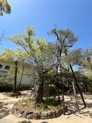 湊川神社(兵庫県)