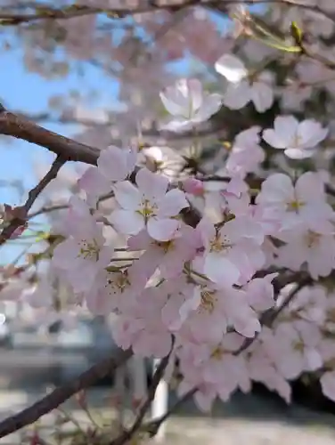 潮田神社(神奈川県)