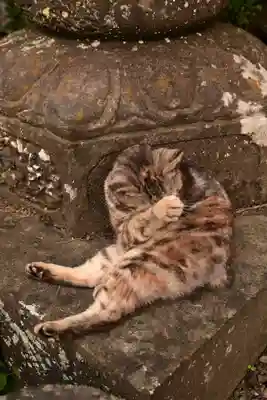 釋尊寺(長野県)