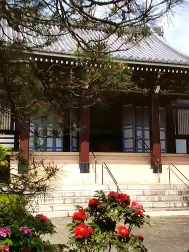 圓照寺(東京都)